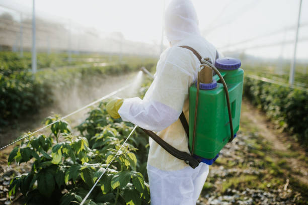 Best Commercial Pest Control Services  in Lawrenceville, VA